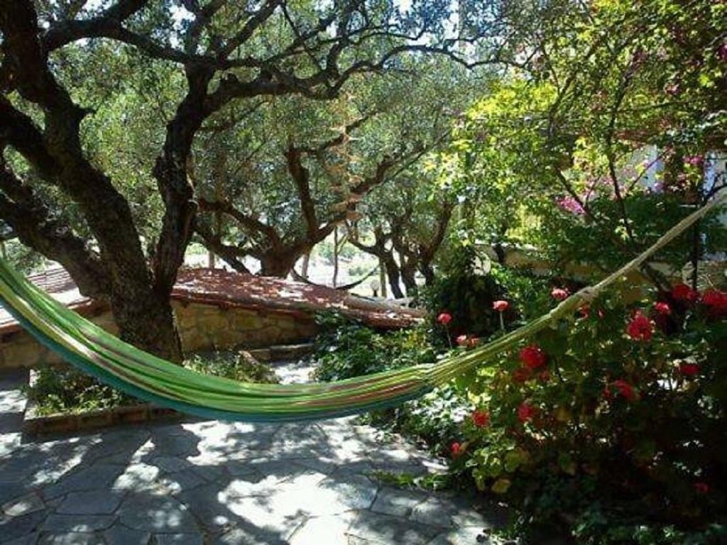 Sofos Apartments Tsilivi  Chambre photo