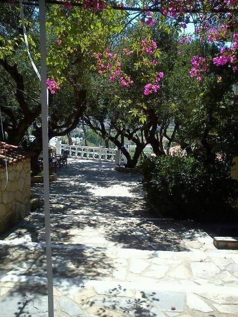 Sofos Apartments Tsilivi  Chambre photo